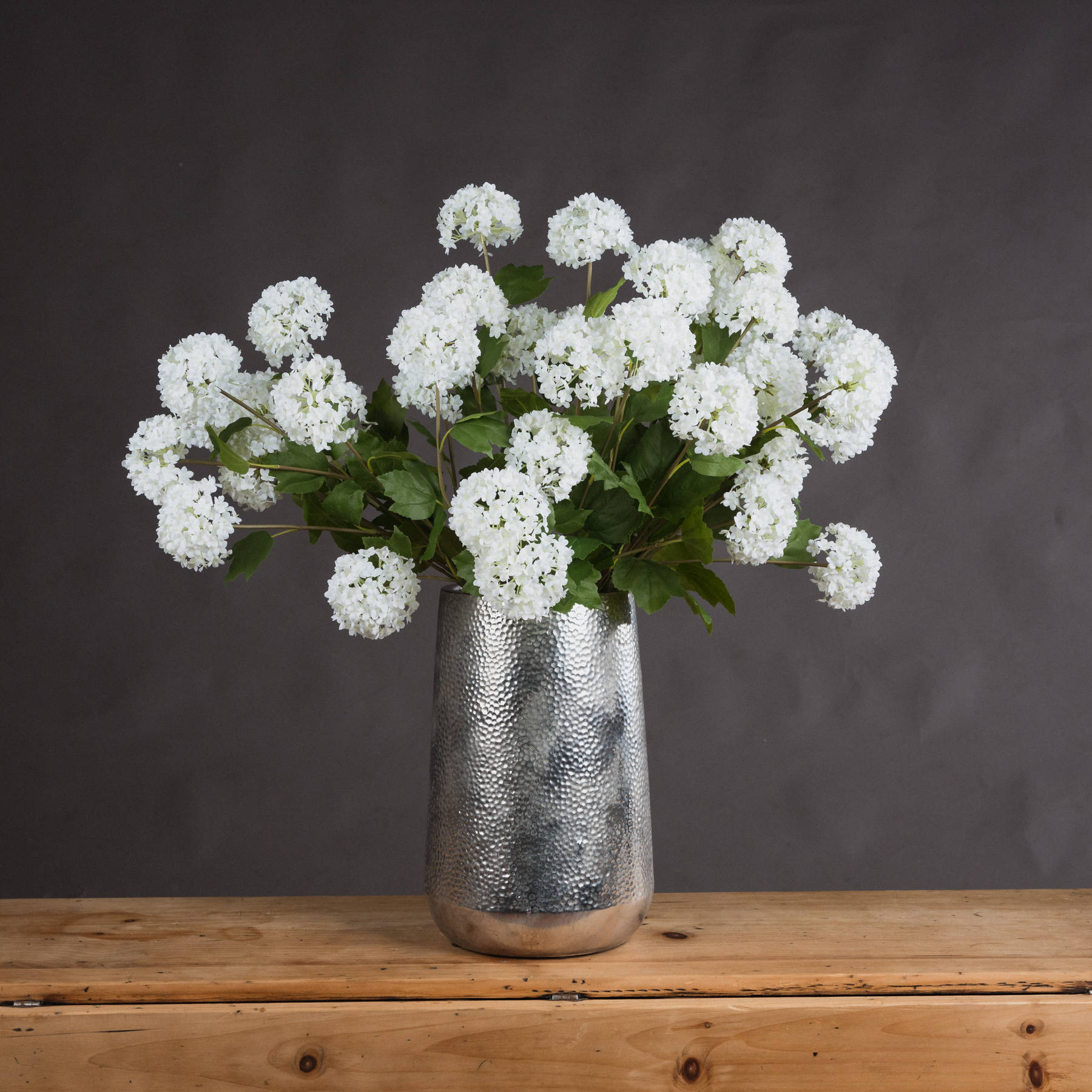 Viburnum Opulus From Anita Jones Interior Styling