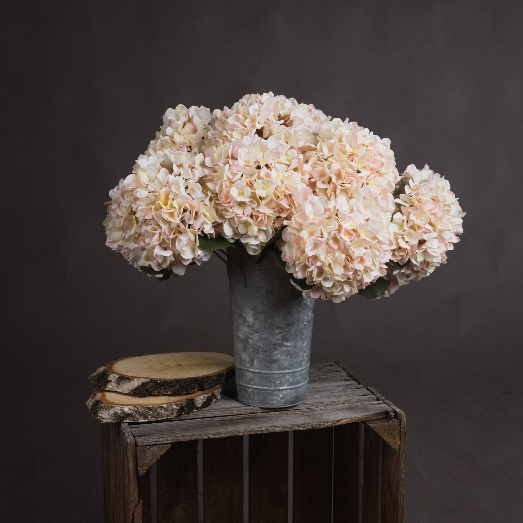 Autumn White Hydrangea From Anita Jones Interior Styling