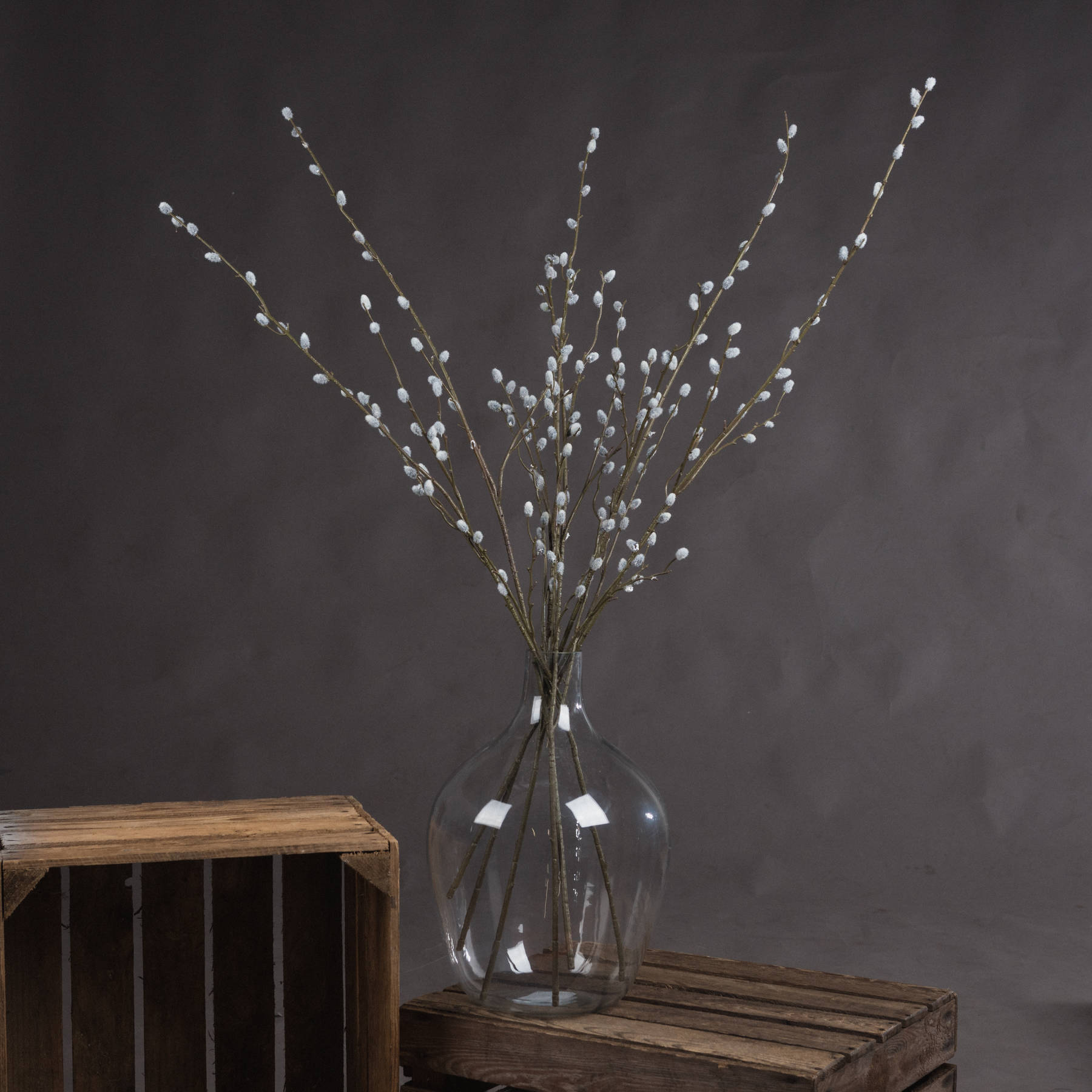 Pussy Willow Branch From Anita Jones Interior Styling