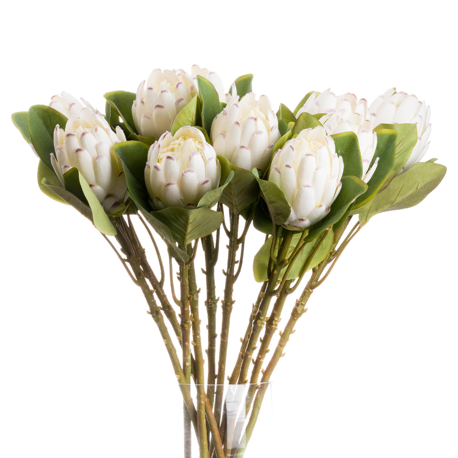 Closed White Protea From Anita Jones Interior Styling