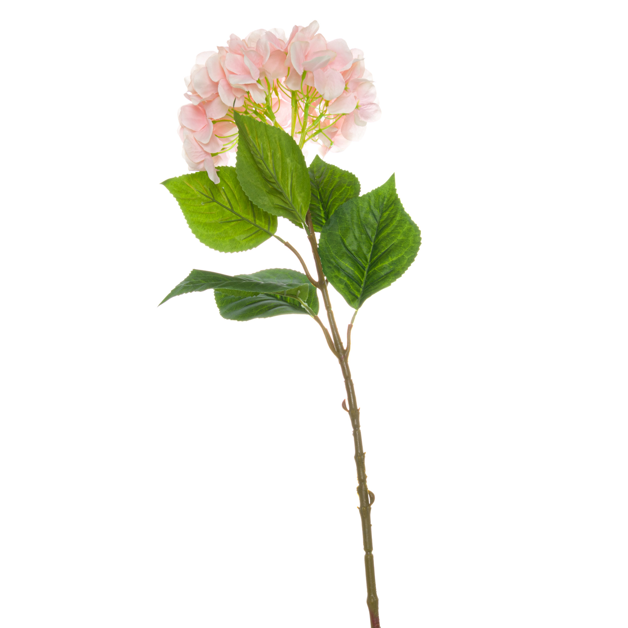 Single Pink Hydrangea From Anita Jones Interior Styling