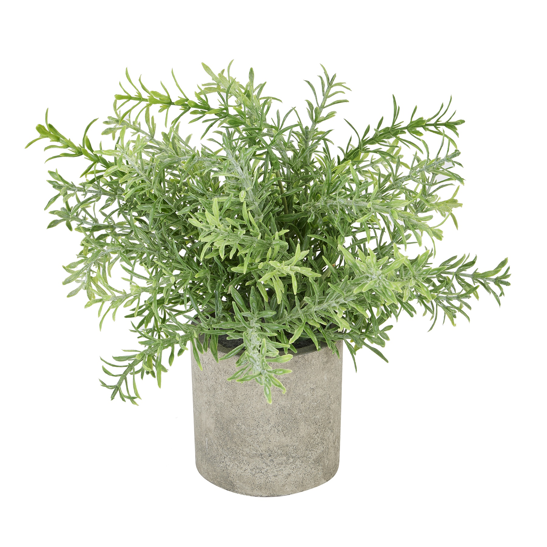 Rosemary Plant In Stone Effect Pot From Anita Jones Interior Styling