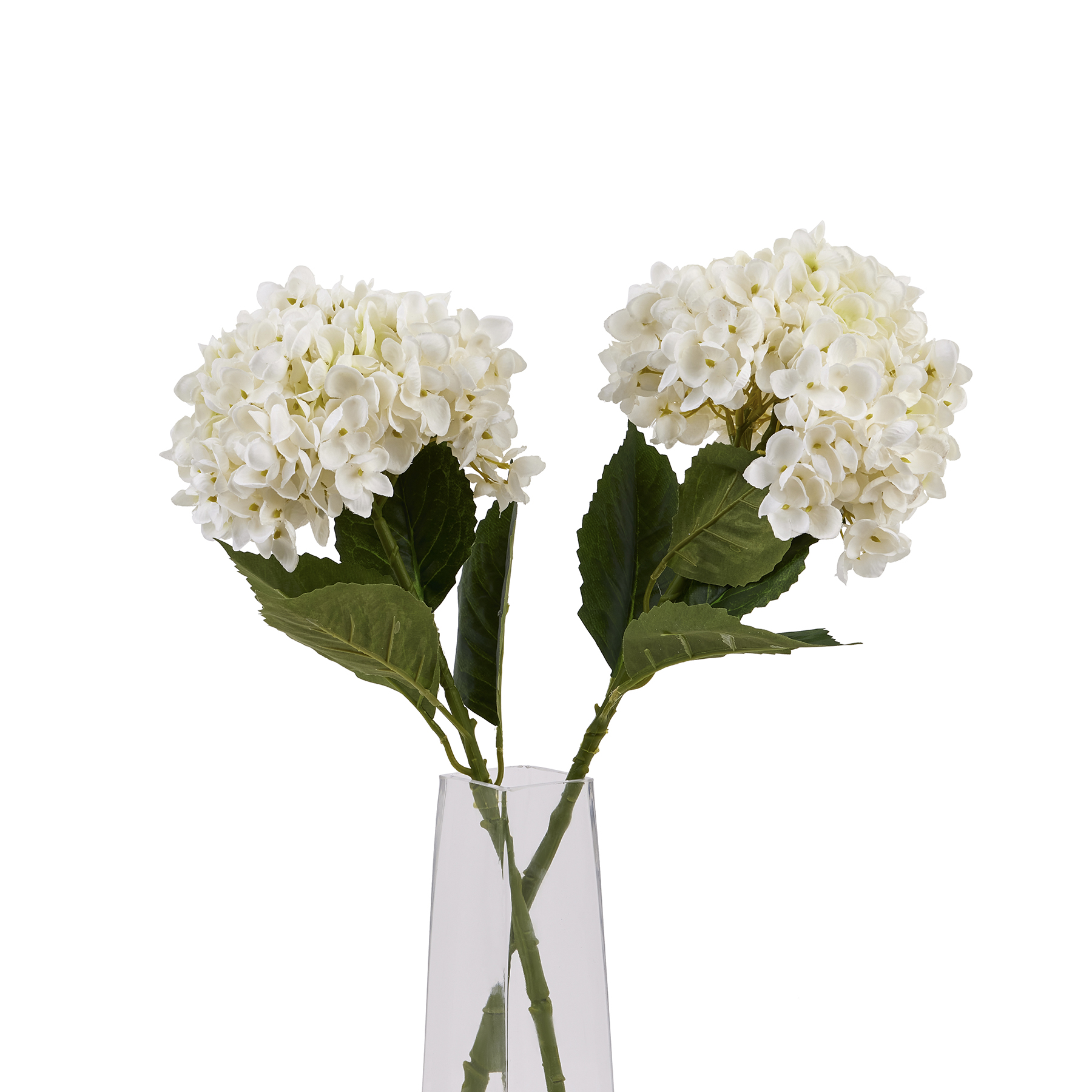 White Hydrangea Stem From Anita Jones Interior Styling