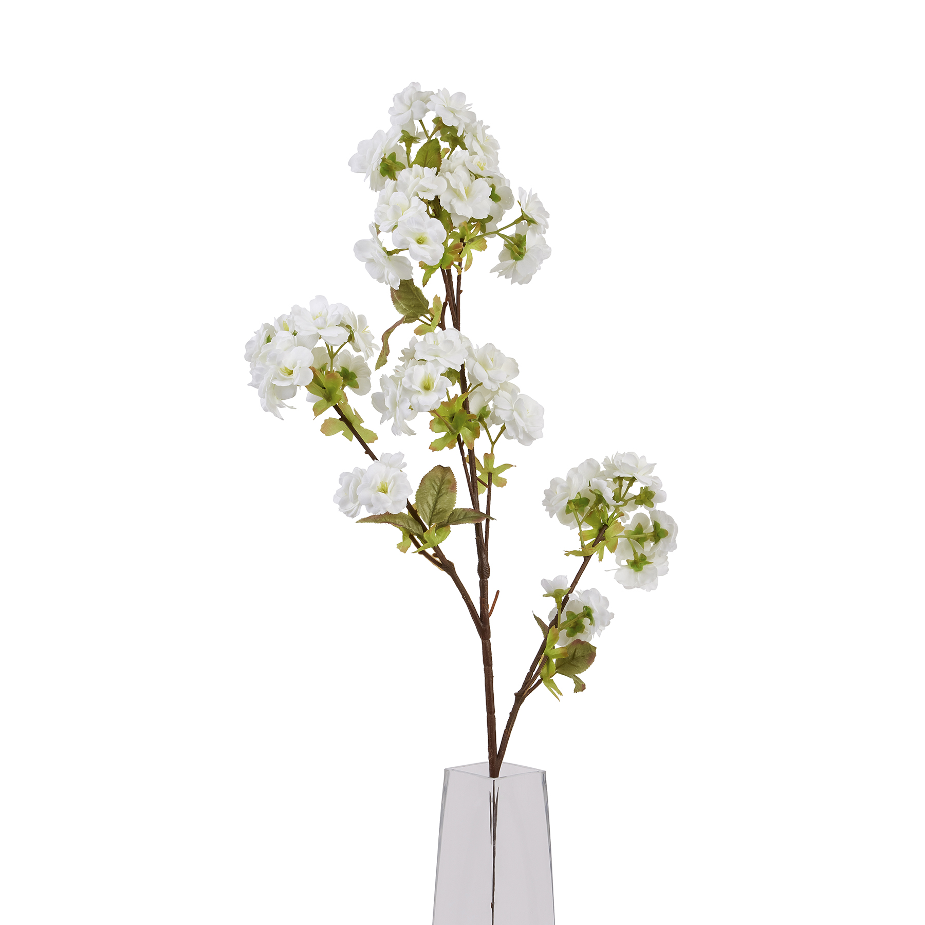 Tall White Blossom From Anita Jones Interior Styling