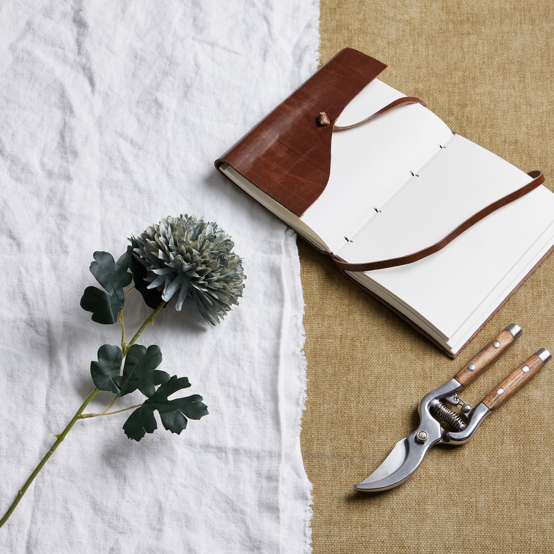 Pale Green Blue Chrysanthemum From Anita Jones Interior Styling