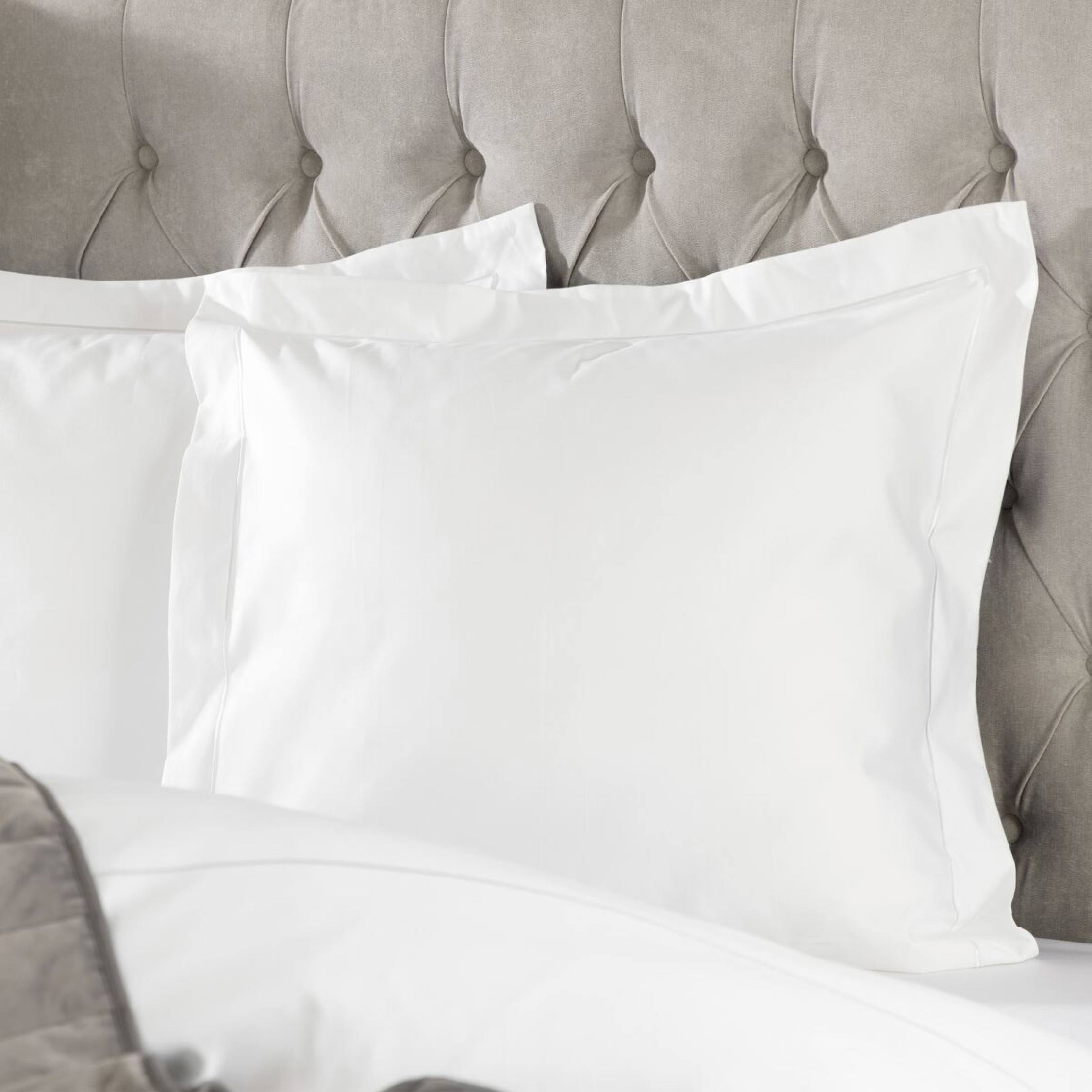 1000 Thread Count Continental Square Pillowcase