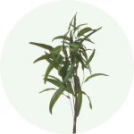 Wreath smaller images4